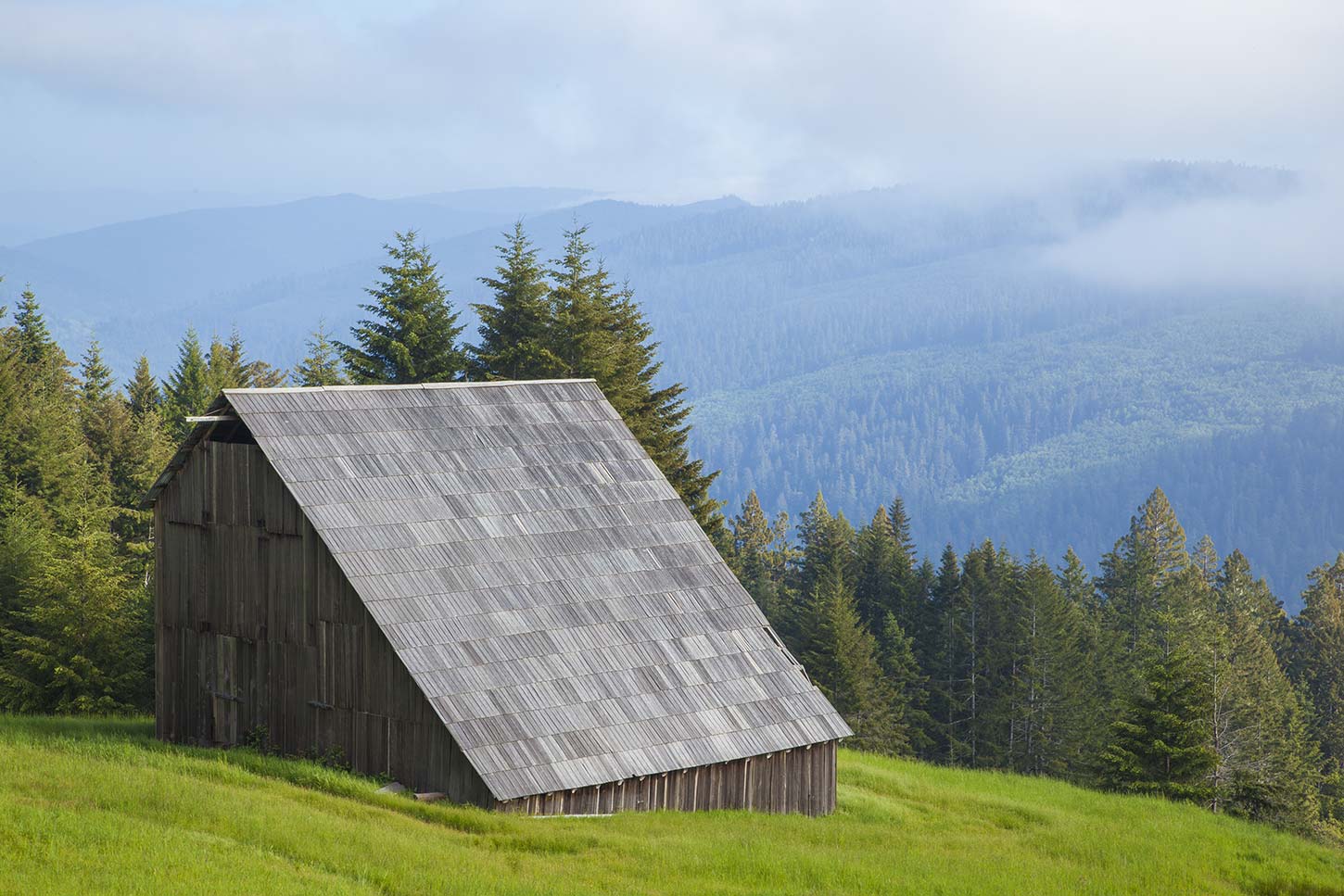 Dolason Barn on the Dolason Prairie Trail, Redwood National Park