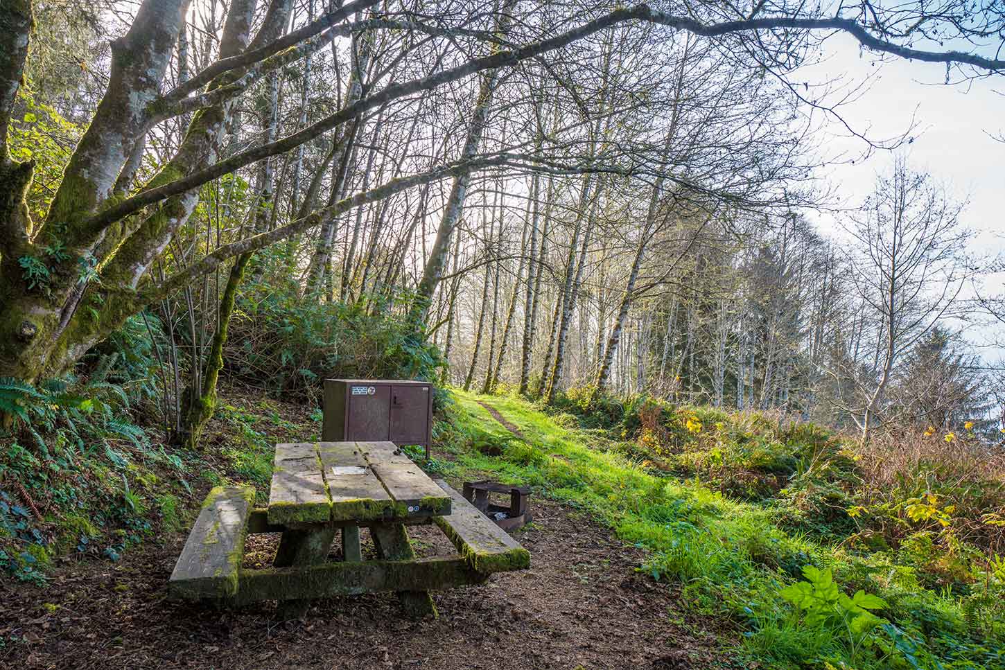 The Coastal Trail, Flint Ridge Section