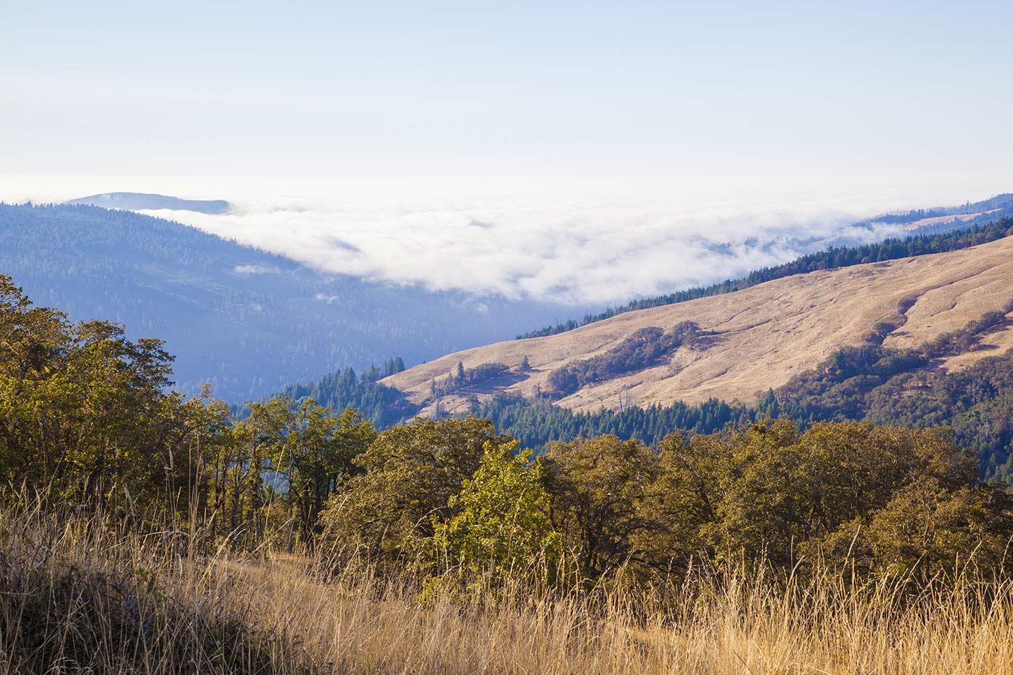 The Lyons Ranch Trail