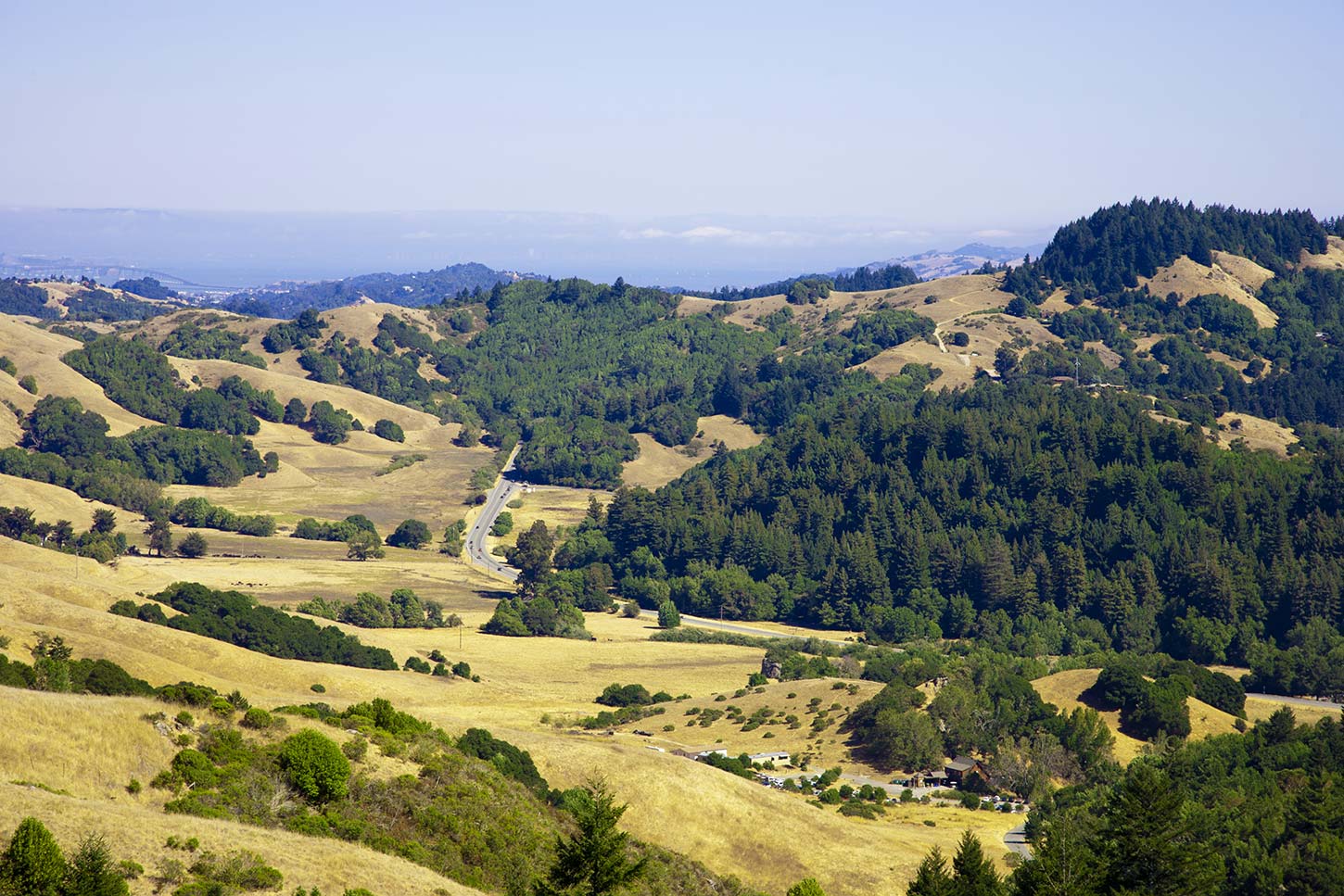 Roy's Redwoods Open Space Preserve