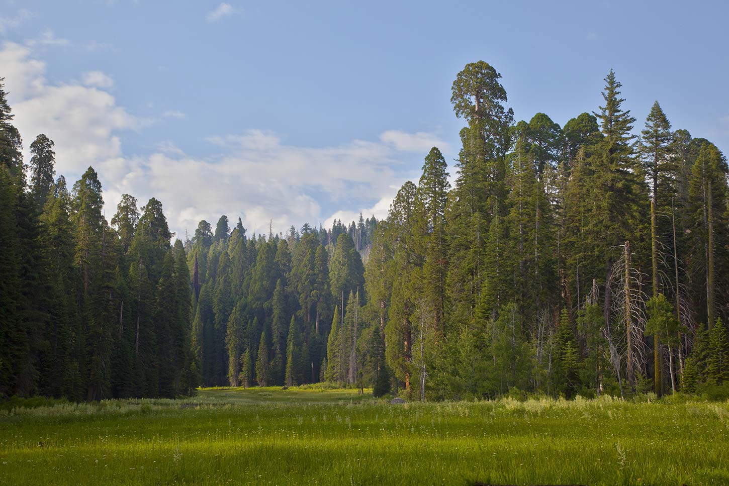 Moro Rock and Crescent Meadow