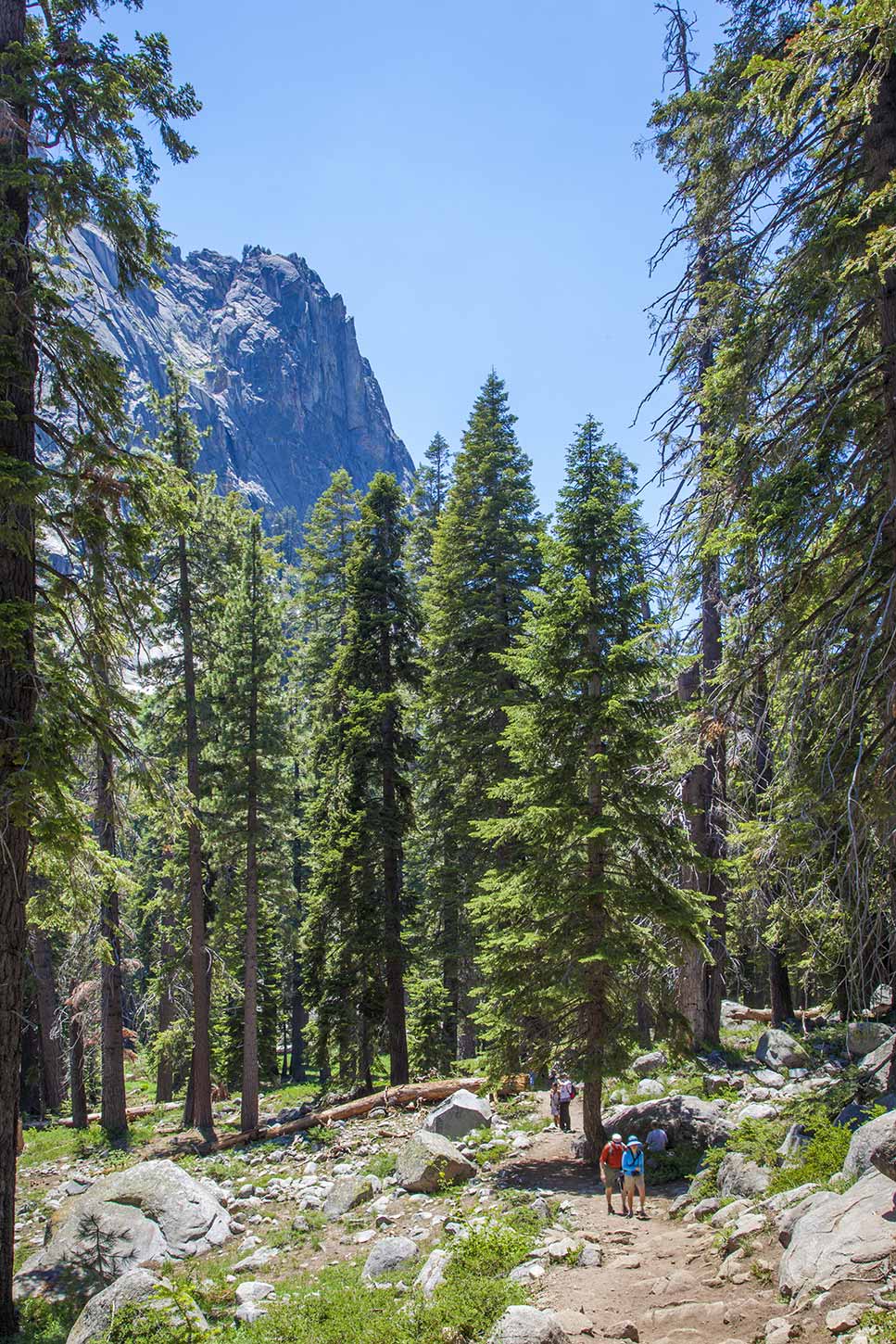 Tokopah falls 2024 trail map