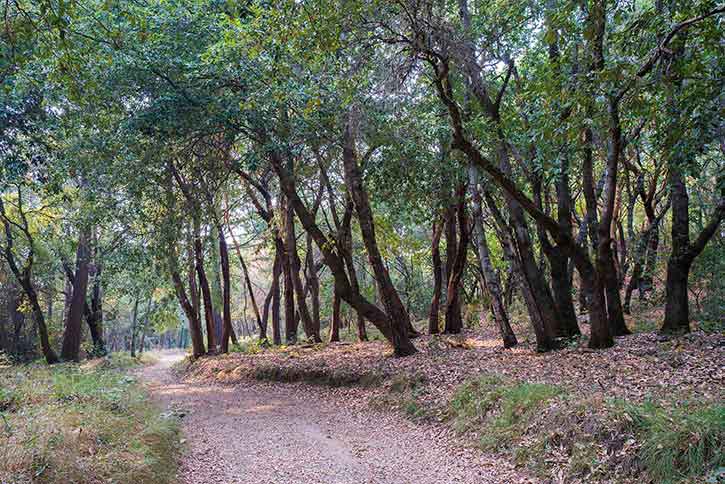 Castle rock store trail camp