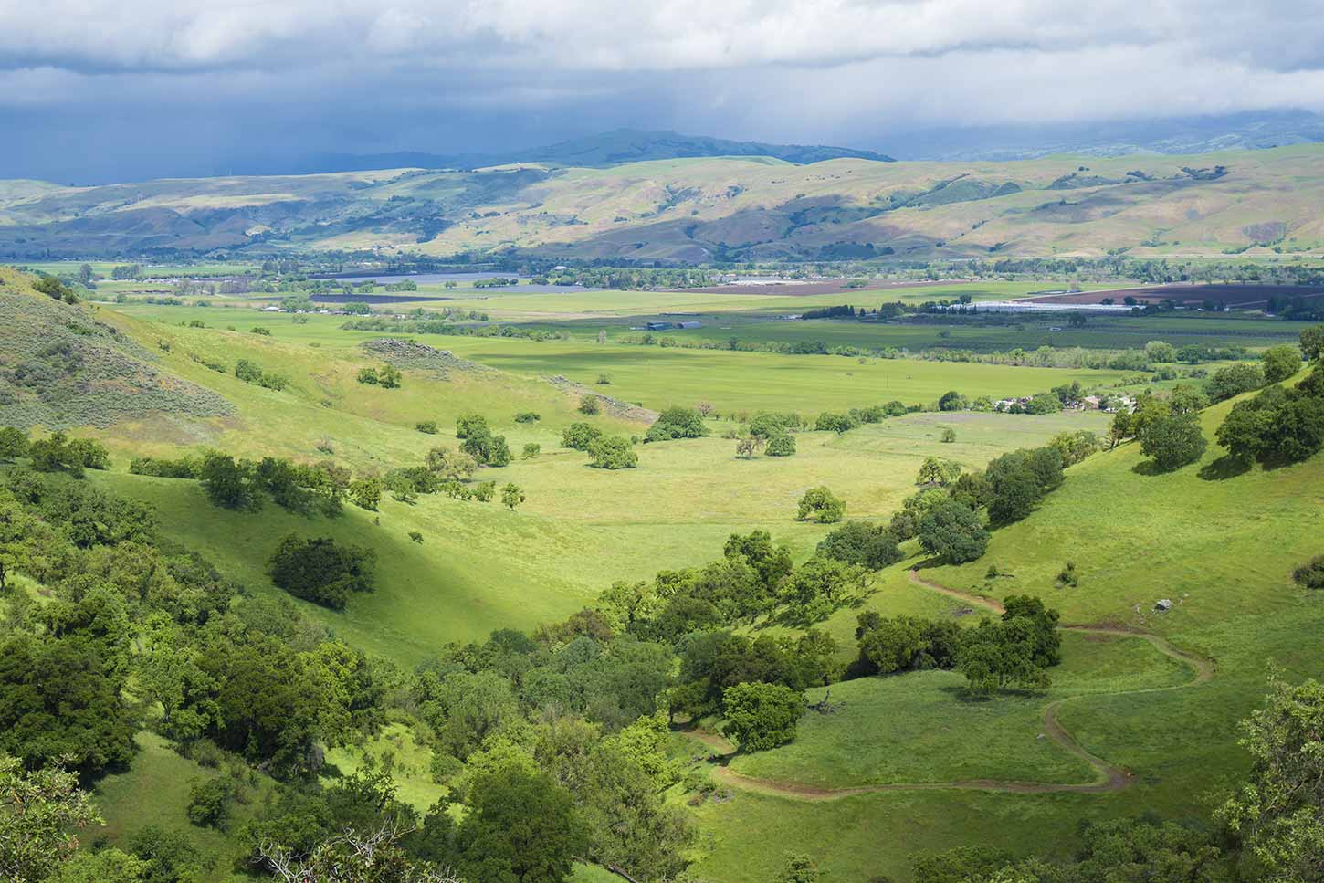 Coyote Valley Open Space Preserve