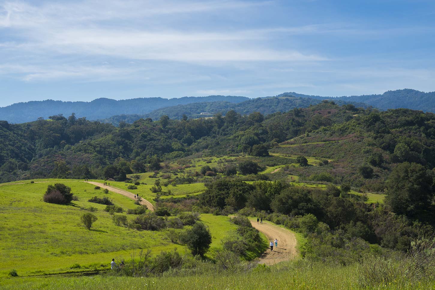 Fremont Older Open Space Preserve