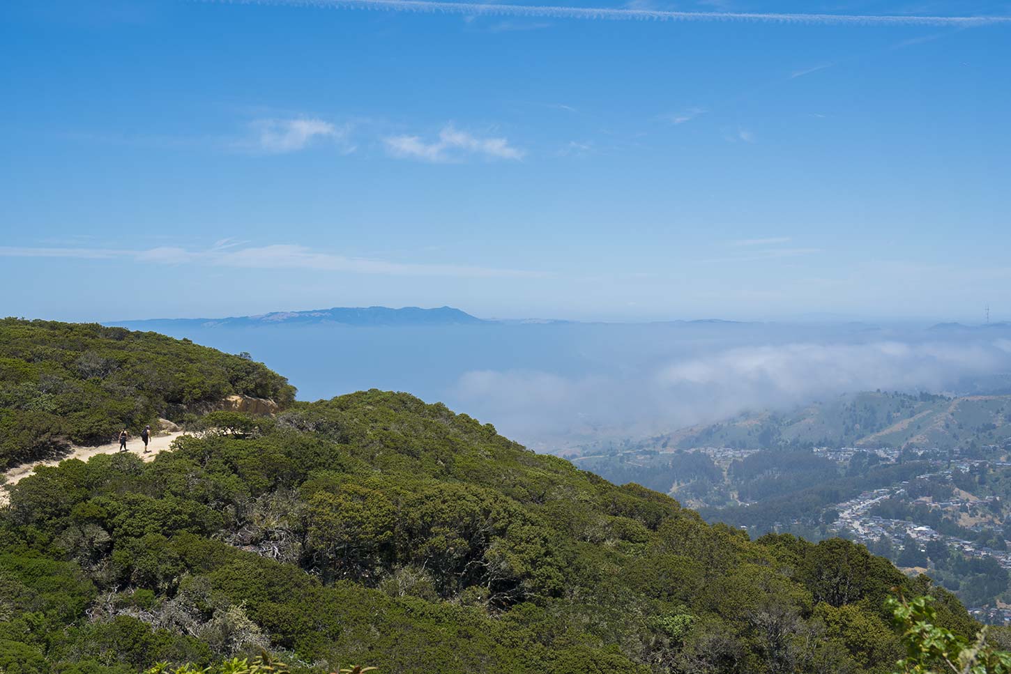 Montara Mountain