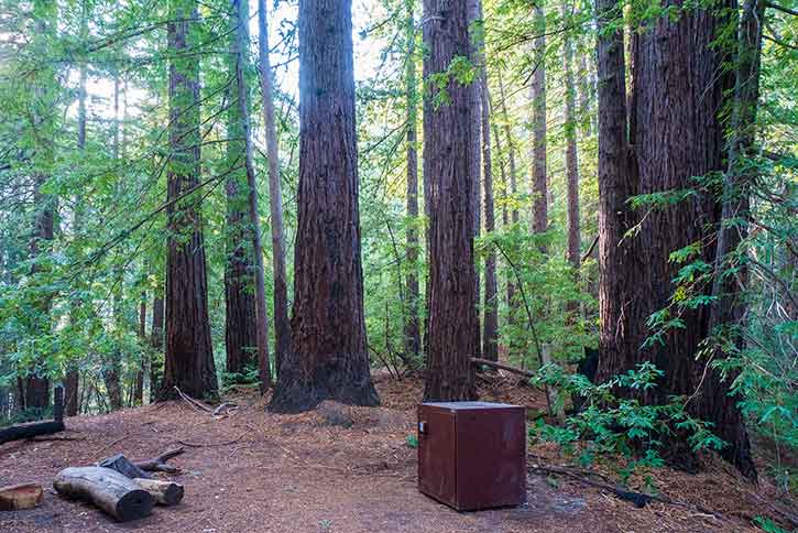 Waterman Gap Trail Camp